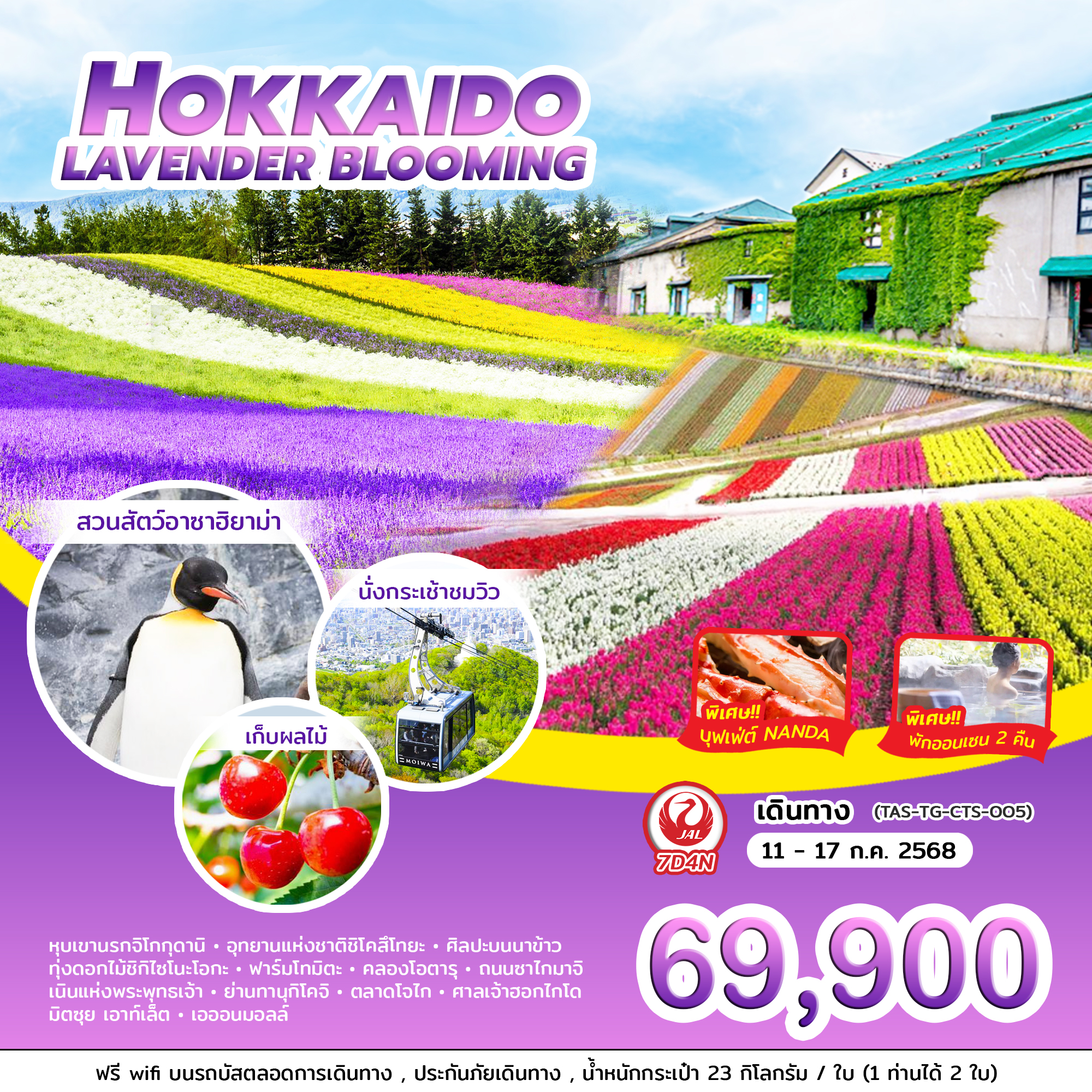 ทัวร์ญี่ปุ่น HOKKAIDO LAVENDER BLOOMING 7วัน 4คืน (JL)