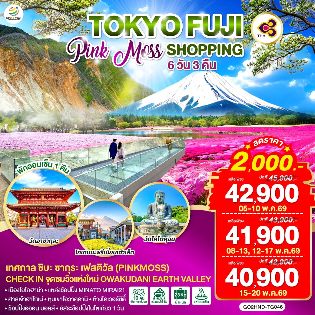 ทัวร์ญี่ปุ่น TOKYO FUJI PINKMOSS SHOPPING 6วัน 3คืน (TG)